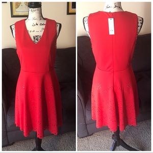 NEW! Francesca’s Midi Cocktail Dress Red Midi Med